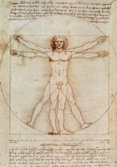 vitruvian man